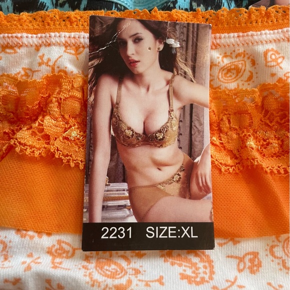 (2) NWT Pairs of Adult Women’s Underwear Panties Animal Print Lace Large - Picture 5 of 6